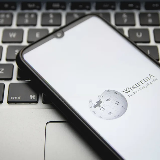 Expert Wiki Consultant Expert Wiki Consultant