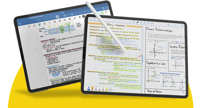 Notability Assessment Expert