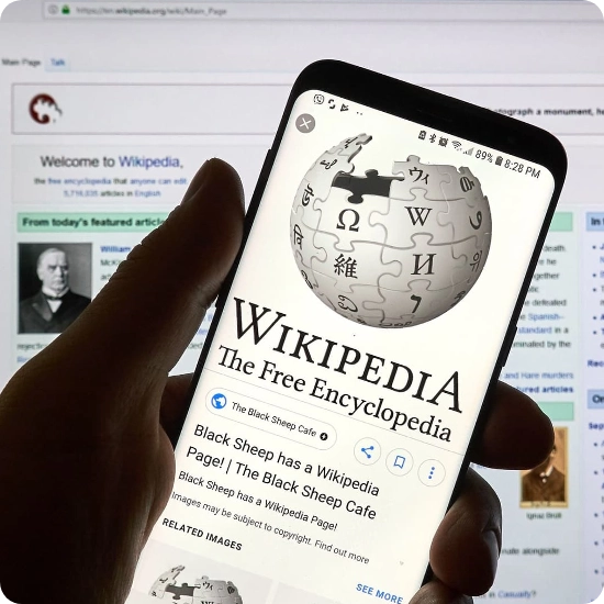Our Wiki Pages Our Wiki Pages